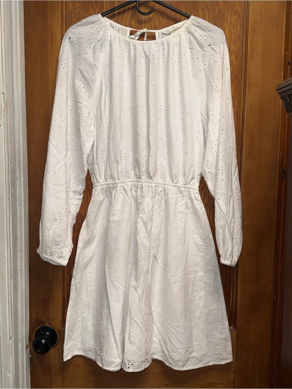 H&M Eyelet Embroidery Balloon Sleeve Open Tie Back Mini Dress Size Small